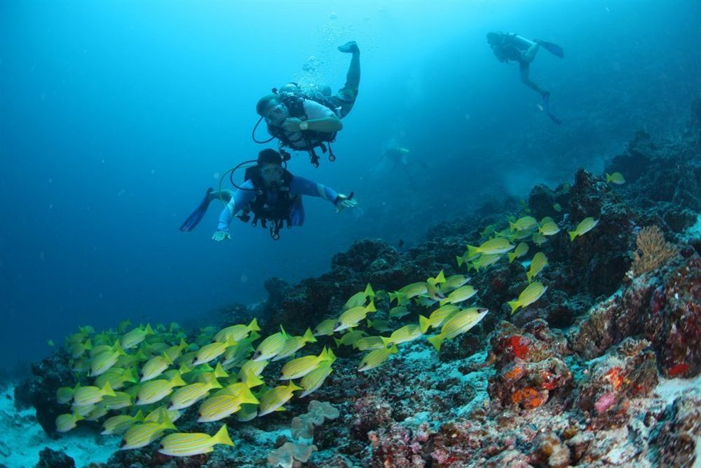 Fern Boquete Inn Hulhumale Ngoại thất bức ảnh
